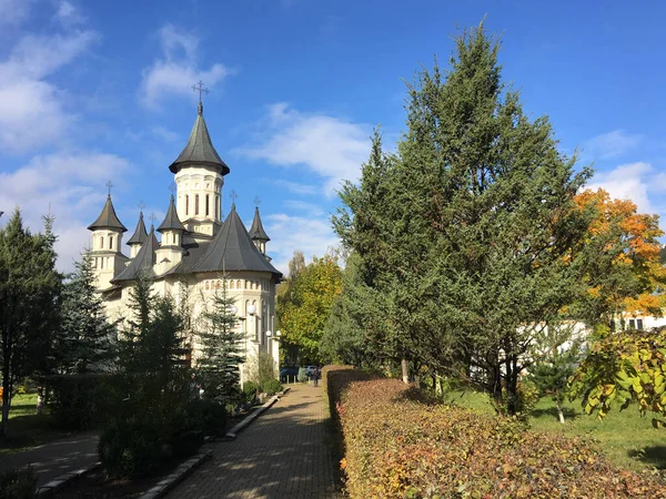 Catedrala Sfanta Treime Время Осени Ватра Дорней Румыния — стоковое фото