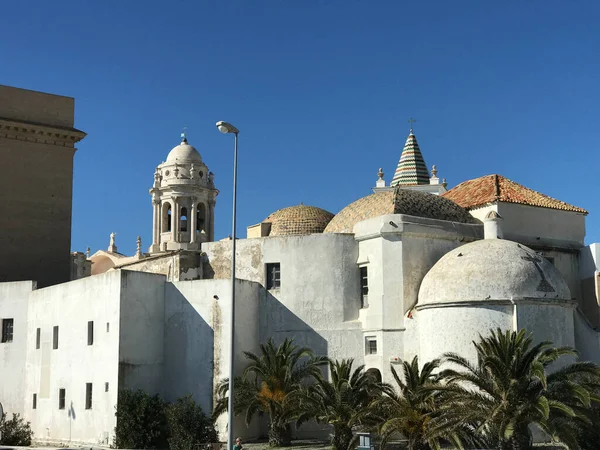 Cadiz Katedrali ve Cadiz İspanya 'daki Parroquia de Santa Cruz Kilisesi