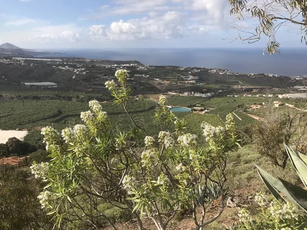 View Mount Arucas Gran Canaria — Stock Photo, Image