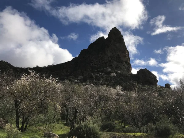 Pico Una Cordillera Riscos Tirajana Gran Canaria — Foto de Stock