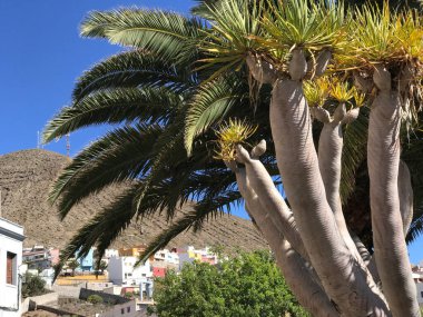 Houses in Galdar Gran Canaria Canary Islands Spain clipart