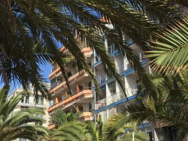 Las Palmas Gran Canaria 'daki Playa de Las Canteras' ta daireler ve palmiye ağaçları