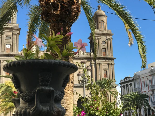大加那利亚拉斯帕尔马斯大教堂 — 图库照片
