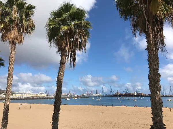 パルマス グラン カナリアの港の隣のビーチスペイン — ストック写真