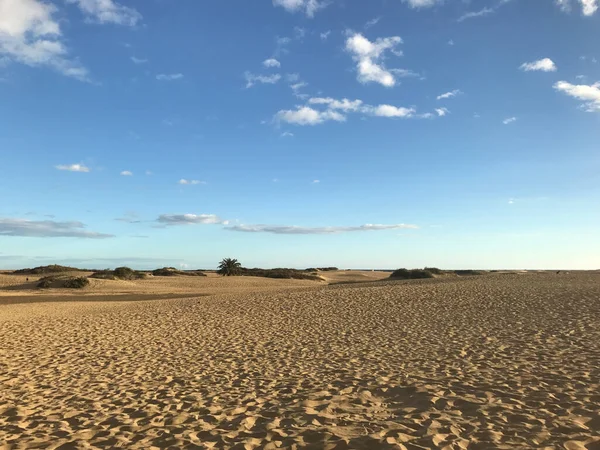 Maspalomas Gran Canariaに砂丘 — ストック写真