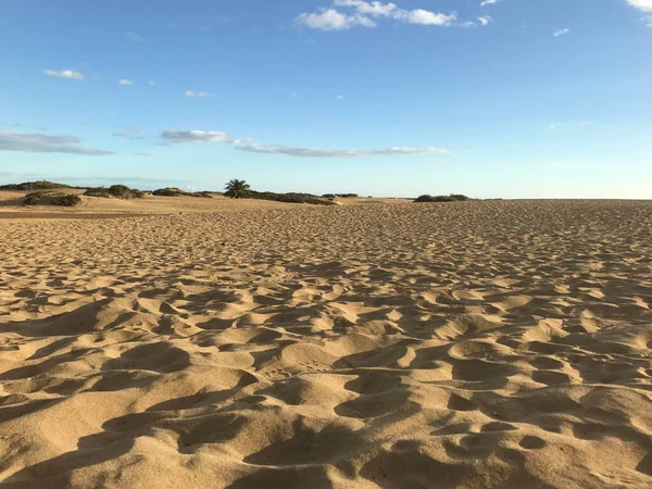 Dune Sabbia Maspalomas Gran Canaria — Foto Stock