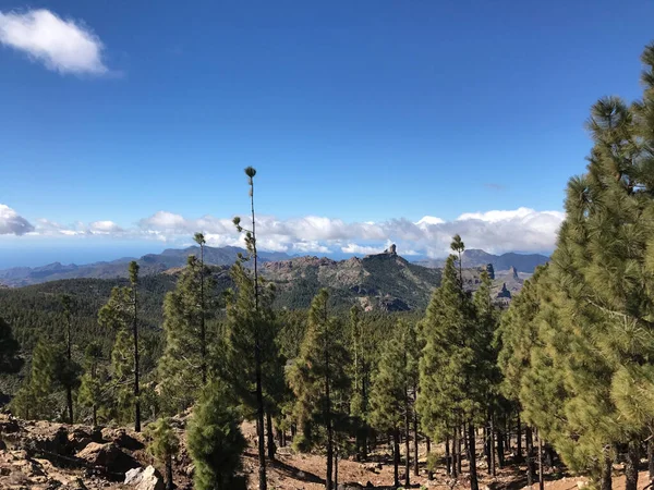 Pico Las Nieves Ten Görüntü Gran Canaria Adasının Yüksek Zirvesi — Stok fotoğraf