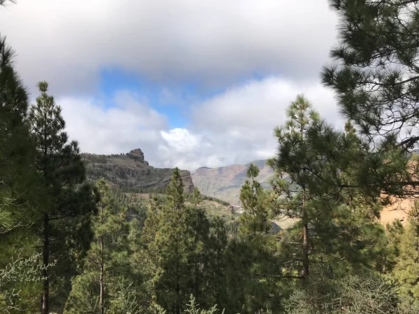 Landschaft Vom Roque Nublo Aus Gesehen Einem Vulkangestein Auf Der — Stockfoto