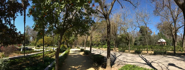 Panorama Del Parque María Luisa Sevilla España — Foto de Stock