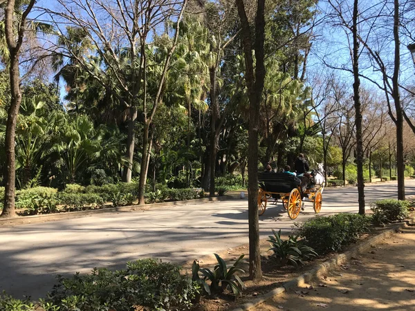 Paard Koets Maria Luisa Park Sevilla Spanje — Stockfoto