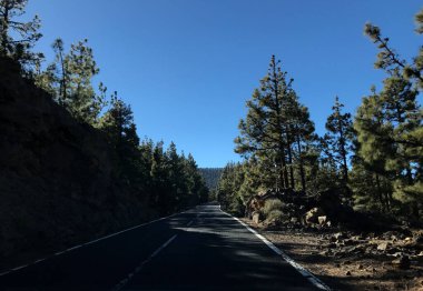 Tenerife 'deki Teide Milli Parkı' ndan geçen yol