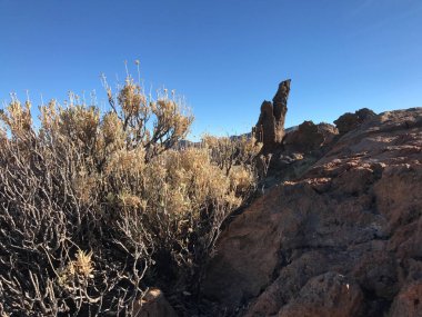 Teide Dağı çevresindeki manzara Kanarya Adaları 'ndaki Tenerife' de bir volkan.
