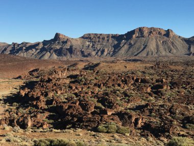 Teide Dağı 'nın etrafındaki kayalık arazi Kanarya Adaları' ndaki Tenerife 'de bir volkan.