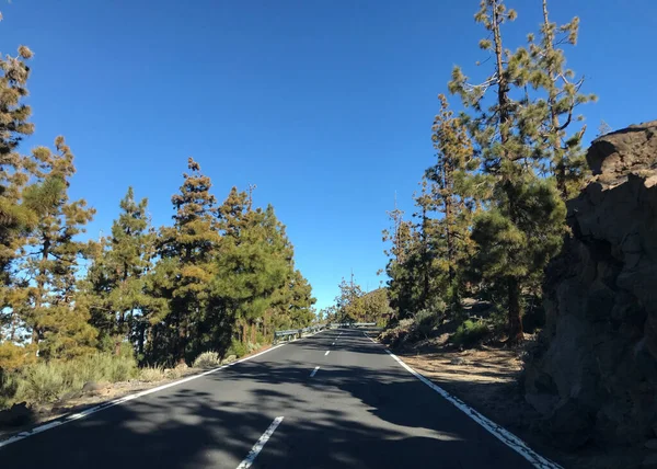 Carretera Por Parque Nacional Del Teide Tenerife — Foto de Stock