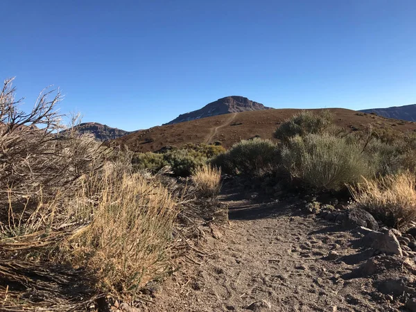 Πεζοπορία Διαδρομή Γύρω Από Όρος Teide Ένα Ηφαίστειο Στην Τενερίφη — Φωτογραφία Αρχείου