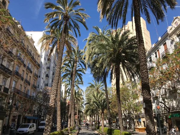Ulica Walencji Hiszpania — Zdjęcie stockowe