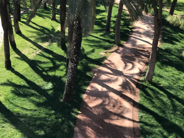 Chemin Randonnée Travers Les Jardins Turia Valence Espagne — Photo