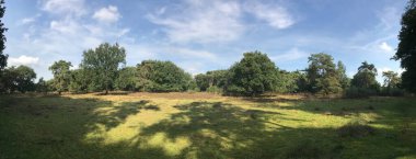 Drenthe Ormanı 'ndan Panorama Hollanda