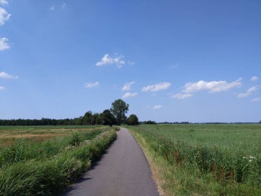 Doğada bisiklet yolu Kalenberg, Overijssel Hollanda çevresinde korunuyor.