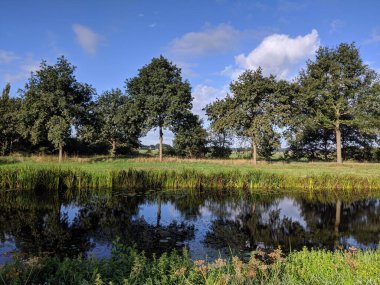 Hoogehaar, Drenthe Hollanda çevresindeki bir kanalda ağaç yansıması.