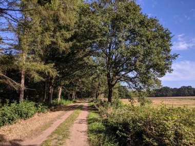 Hollanda, Drenthe 'deki Gees çevresindeki doğa rezervi.