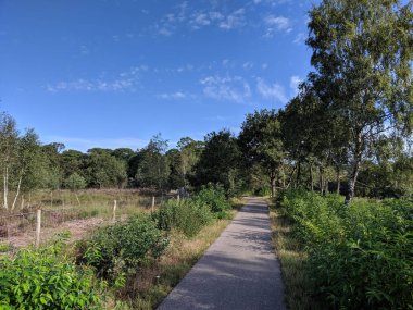 Hollanda, Drenthe 'deki Gees çevresindeki doğa rezervi.