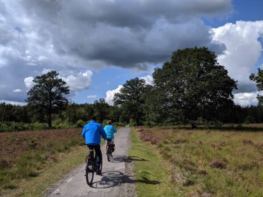 Hollanda 'daki Drents-Friese Wold Ulusal Parkı' nda bisiklet süren turistler
