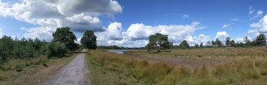 Hollanda 'daki Drents-Friese Wold Ulusal Parkı' ndan panoramik manzara