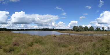 Hollanda 'daki Drents-Friese Wold Ulusal Parkı' nda.