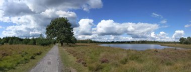 Hollanda 'daki Drents-Friese Wold Ulusal Parkı' ndan panoramik manzara