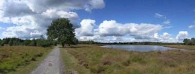 Panoramic landscape from the Drents-Friese Wold National Park in The Netherlands clipart