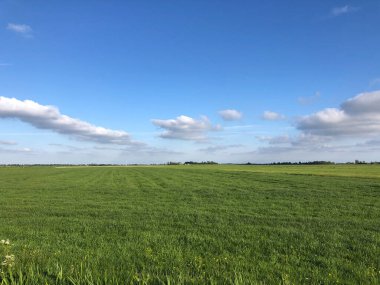 Friesland, Spannenburg çevresindeki tarım arazileri Hollanda