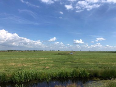 Hollanda 'daki Frizya manzarası