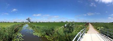 Friesland, Hollanda 'daki Boazum köyünün çevresindeki kanal ve yel değirmeni.