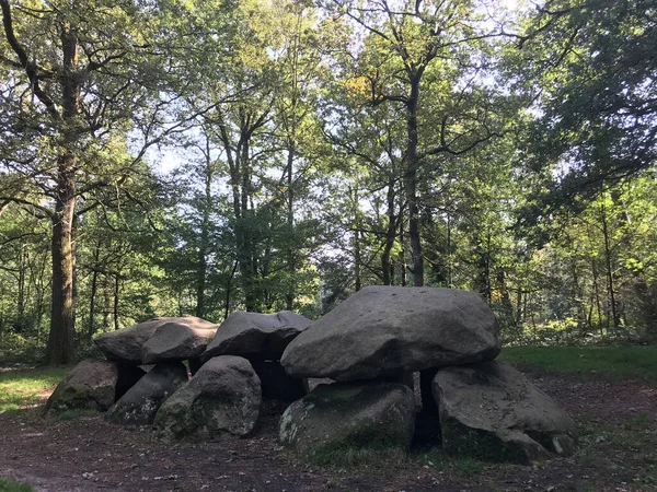 Altes Steingrab Dolmen Drenthe Niederlande — Stockfoto