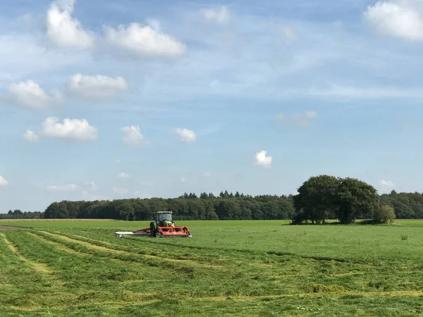 Farmer Mowing Grass Tractor Drenthe Netherlands — Stock Photo, Image