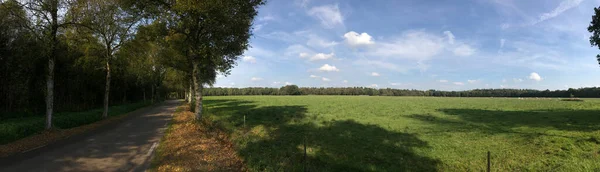 Panorama Una Strada Terreni Agricoli Drenthe Paesi Bassi — Foto Stock