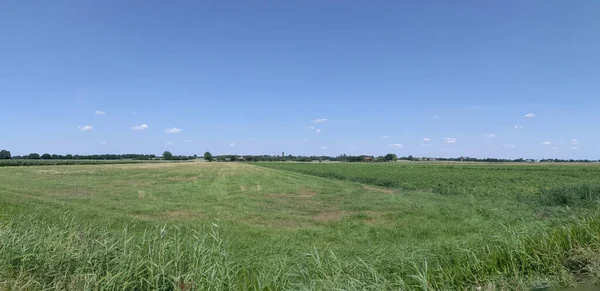Farmland Panorama Steenwijkerwold Hollandia — Stock Fotó