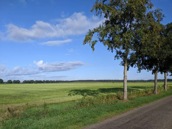 Krajobraz Wokół Zwinderen Holandii — Zdjęcie stockowe