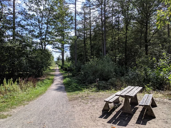 Hollanda Drenthe Deki Drenthe Friese Wold Ulusal Parkı Ndaki Bankta — Stok fotoğraf