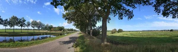 Панорамный Пейзаж Канала Вокруг Звиндерен Нидерландах — стоковое фото