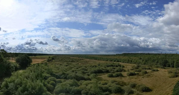 Vista Panorámica Desde Torre Observación Bosque Alrededor Elp Drenthe Holanda — Foto de Stock