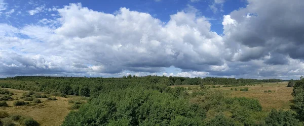 Vista Panorâmica Torre Observação Floresta Torno Elp Drenthe Países Baixos — Fotografia de Stock