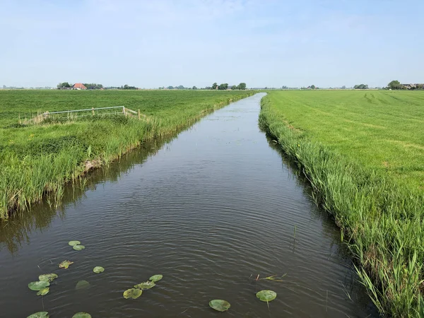 オランダのフリースラントの農地を通る運河 — ストック写真
