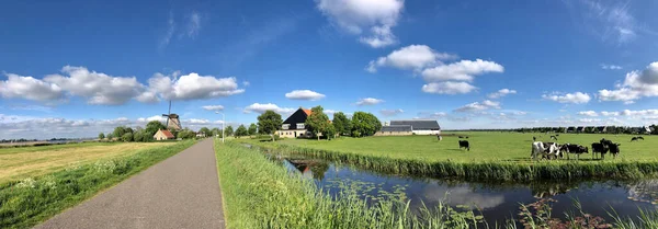Panoramiczny Krajobraz Friesland Holandii — Zdjęcie stockowe