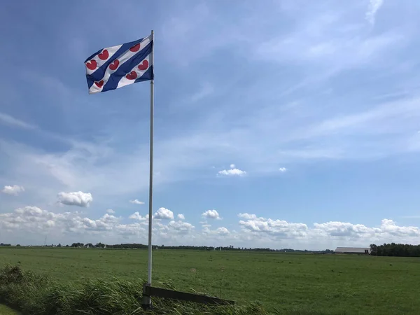 Friesland 'da Frizya bayrağı Hollanda' da