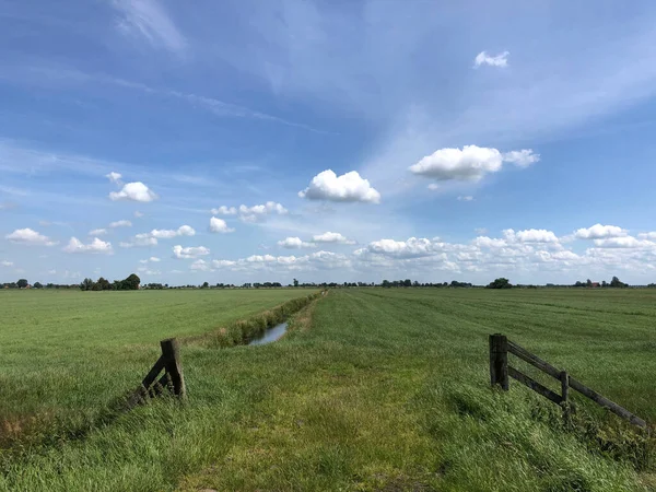 Grunty Rolne Friesland Holandia — Zdjęcie stockowe