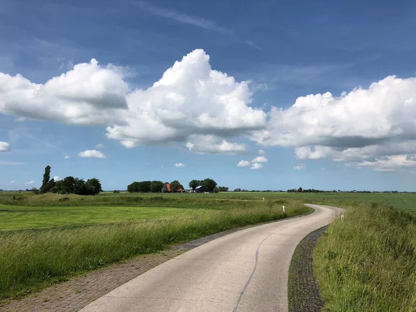 Paesaggio Intorno Boazum Frisia Paesi Bassi — Foto Stock