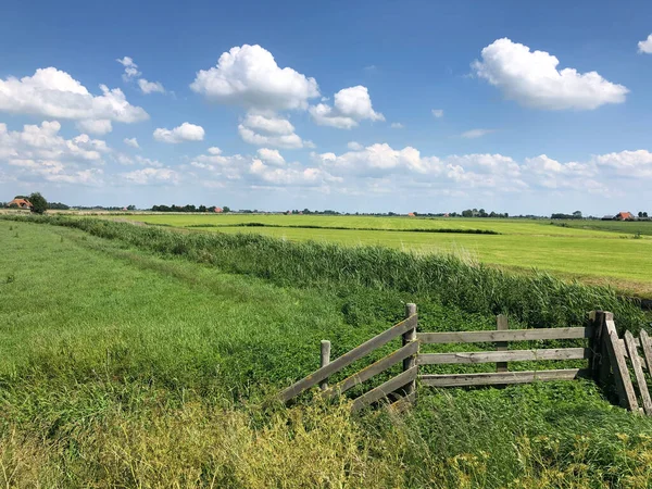 Landskap Runt Burgwerd Friesland Nederländerna — Stockfoto