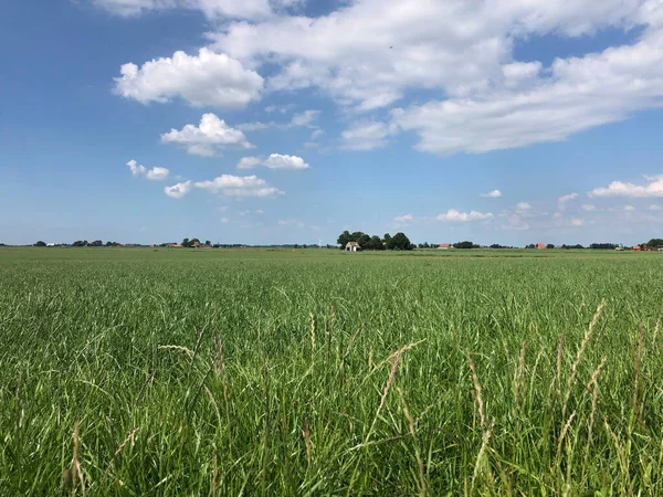 Farmland Greonterp Friesland Netherlands — Stock Photo, Image